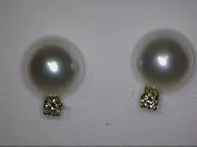 14K Yellow Gold Pearl  and Diamond Stud Earrings