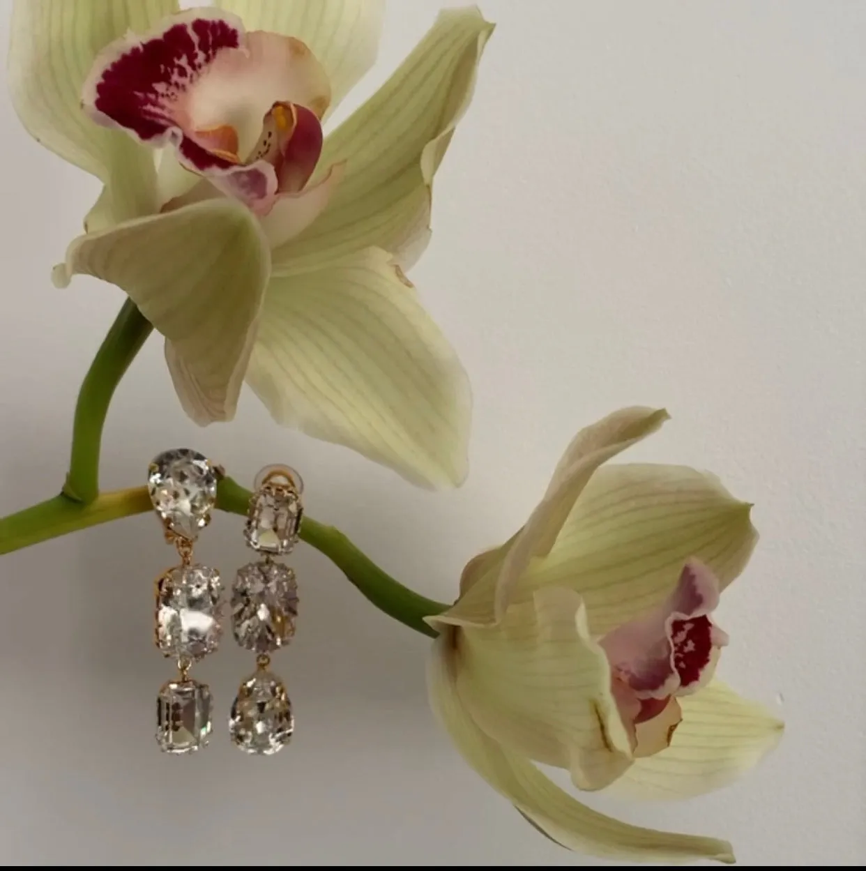 Before You Go Drop Mismatched Earrings