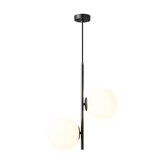 LED Dual-light Modern Decorative Pendant Light