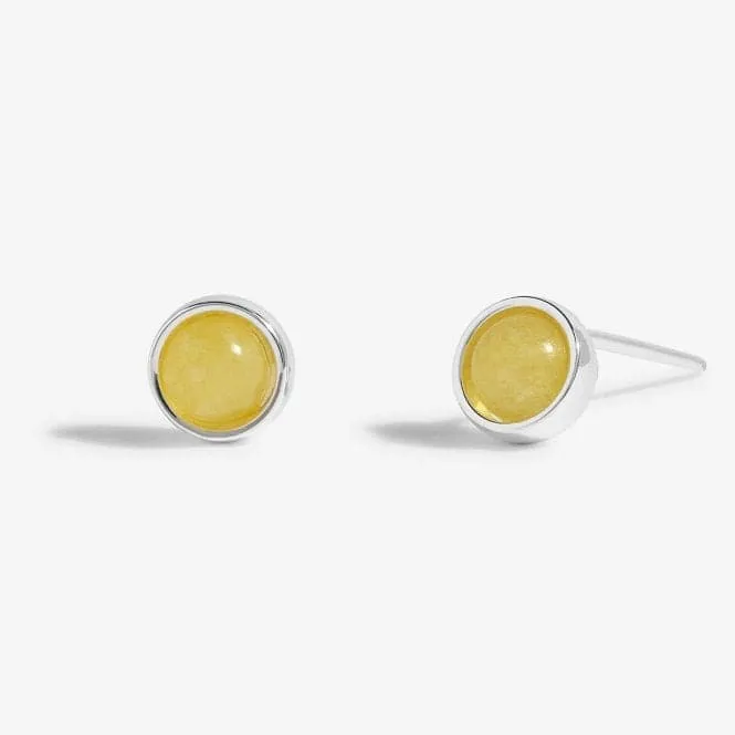 November Birthstone Boxed Earrings 5538