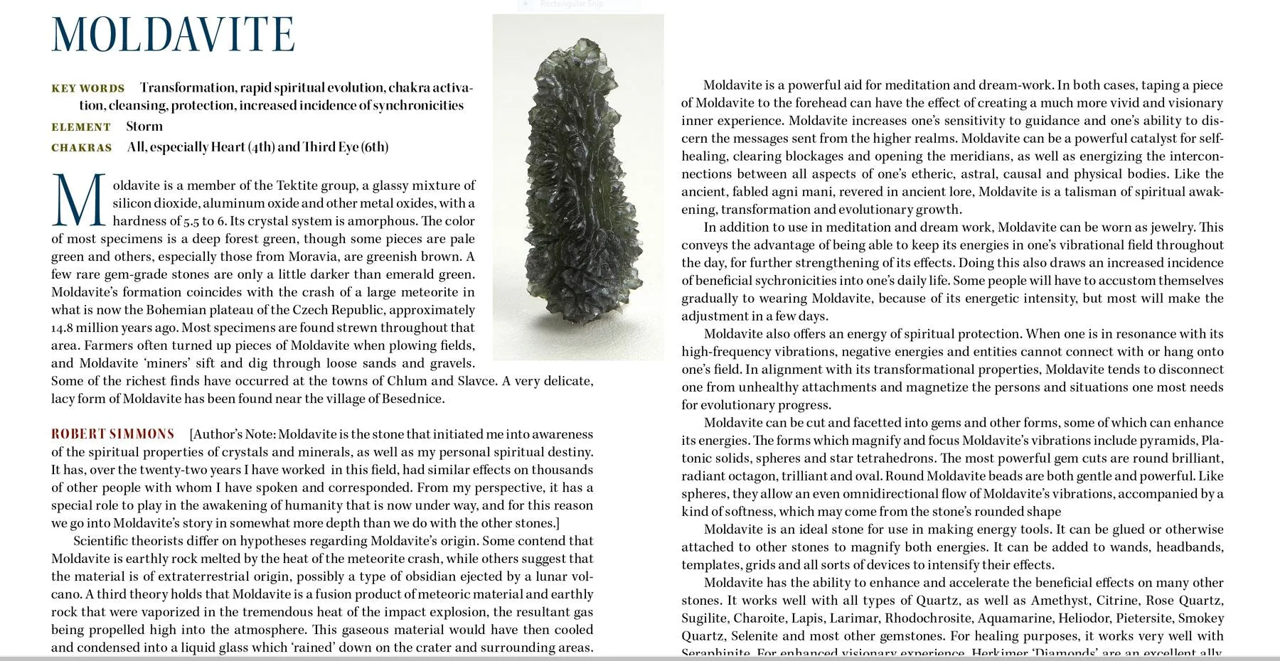 Nuummite Moldavite Crystal Pendant