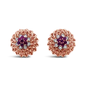 Ruby & Diamond Pin & Earrings Set